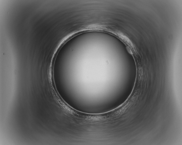 X0000116801288200912241154