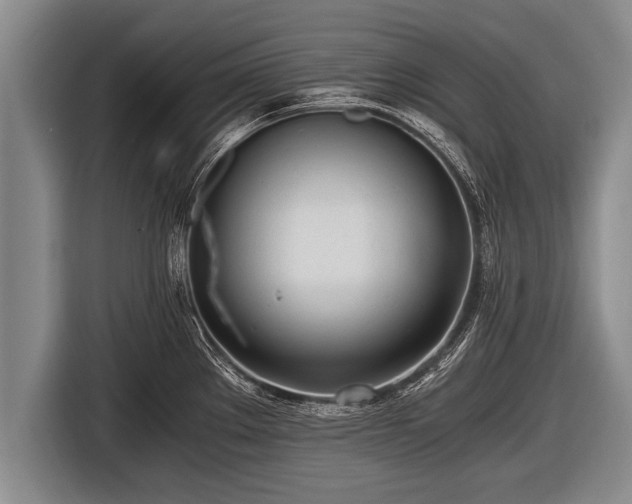 X0000116801289200912241154