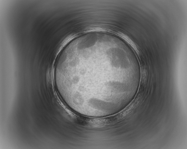 X0000116801290200912241154