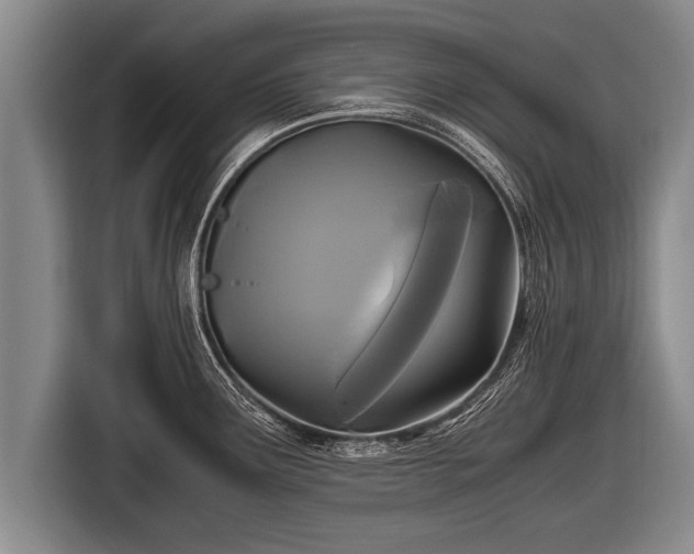 X0000116801291200912241154