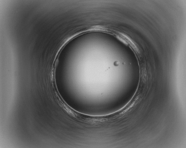 X0000116801292200912241154