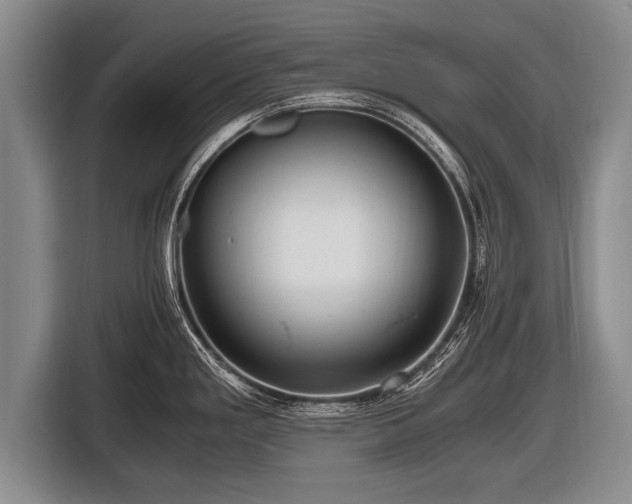 X0000116801293200912241154