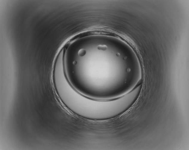 X0000116801296200912241154