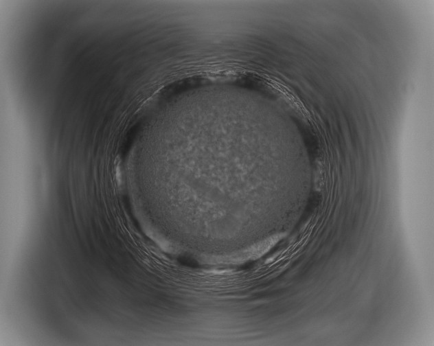 X0000116801298200912241153