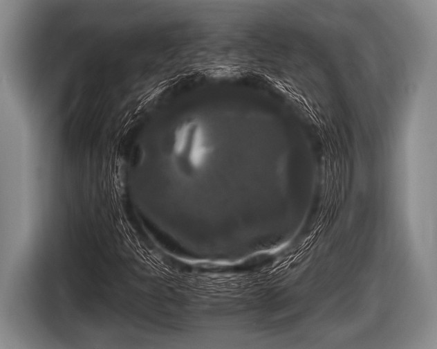 X0000116801301200912241153