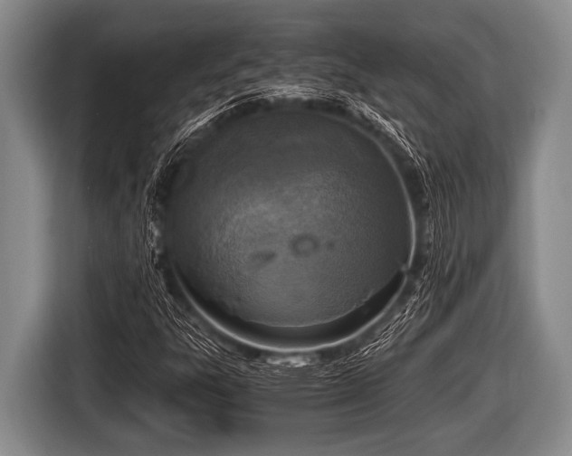 X0000116801303200912241153