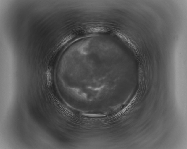 X0000116801305200912241153