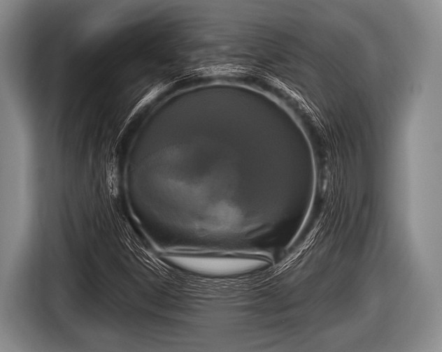 X0000116801306200912241153