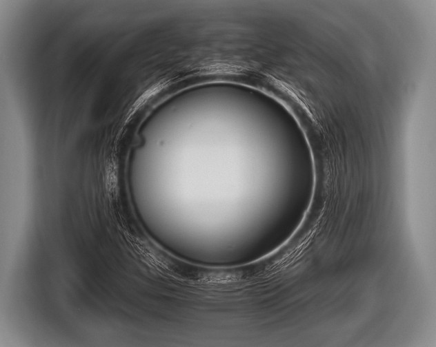 X0000116801307200912241153