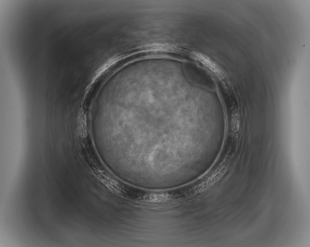 X0000116801310200912241153