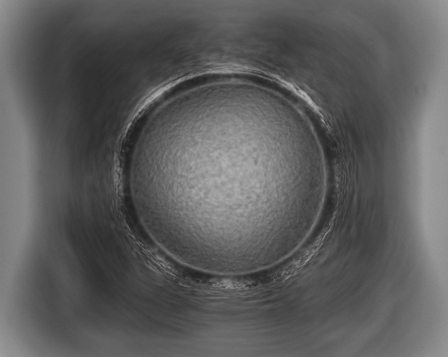 X0000116801311200912241153