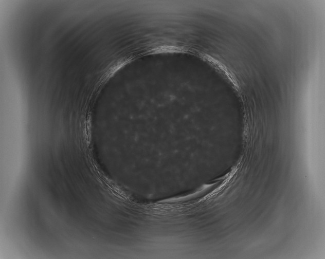 X0000116801313200912241153