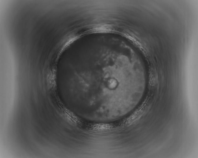 X0000116801314200912241153