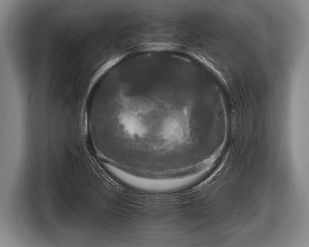 X0000116801317200912241153