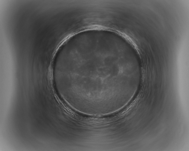 X0000116801318200912241153