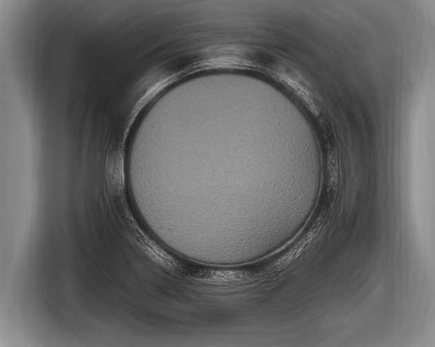 X0000116801322200912241153