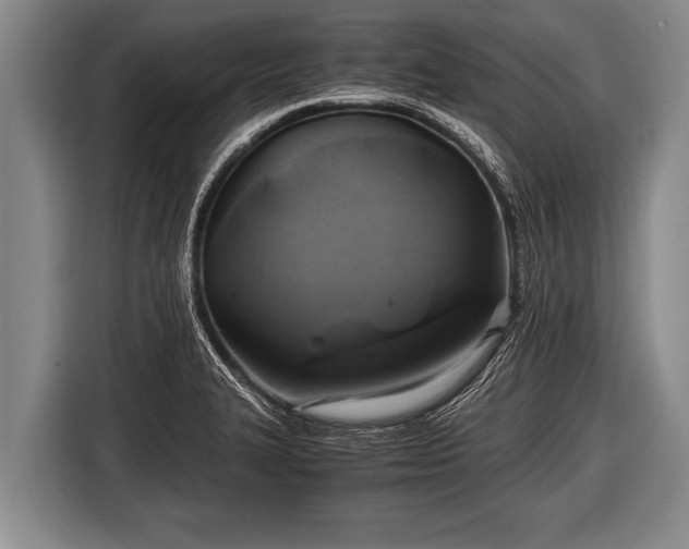 X0000116801327200912241153