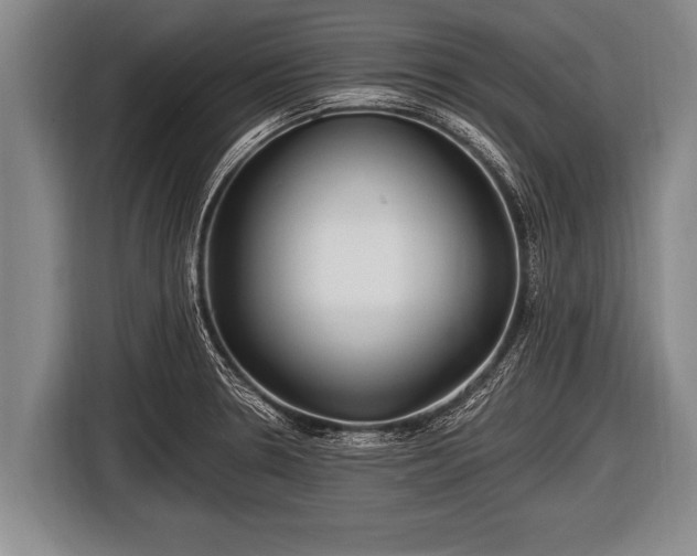 X0000116801330200912241153