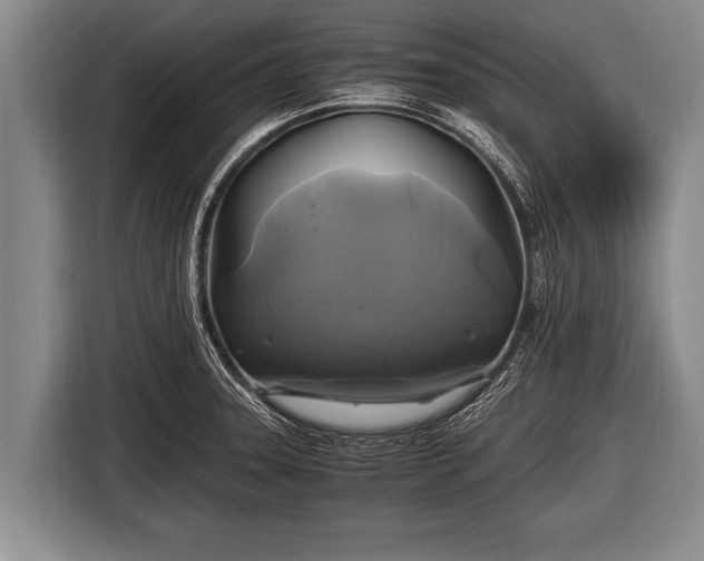 X0000116801331200912241153