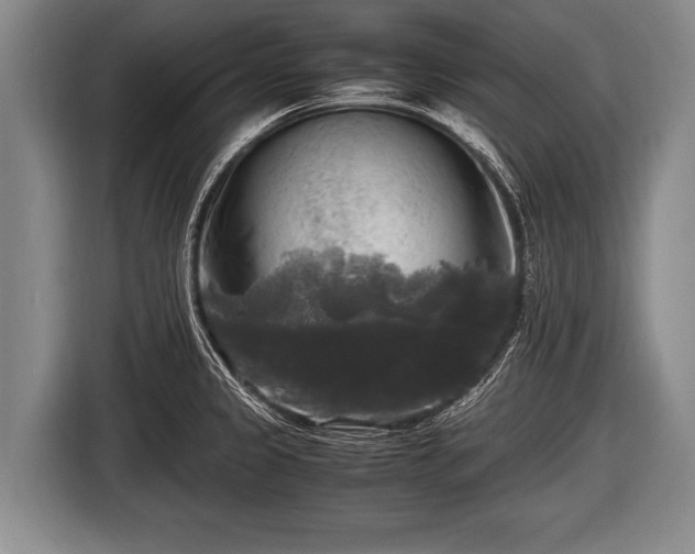 X0000116801333200912241153