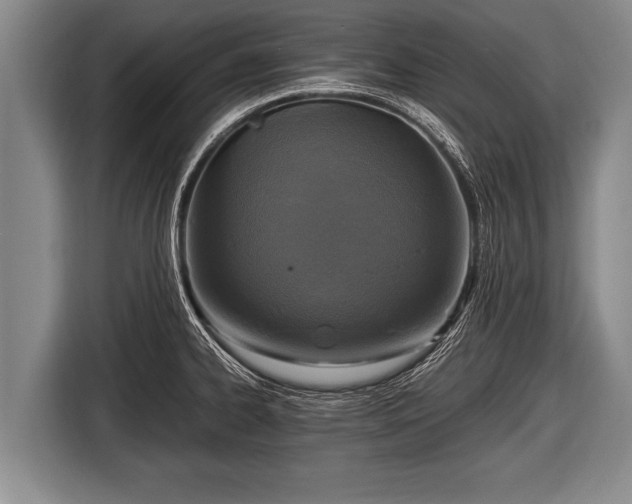 X0000116801334200912241153