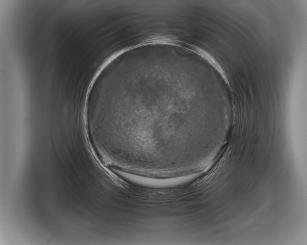 X0000116801339200912241154