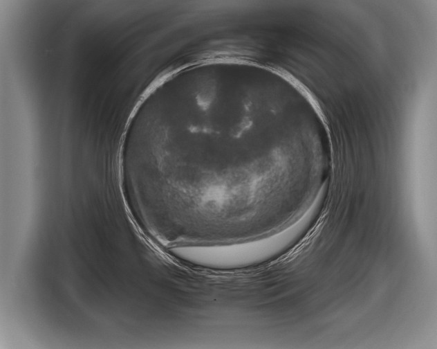 X0000116801341200912241154