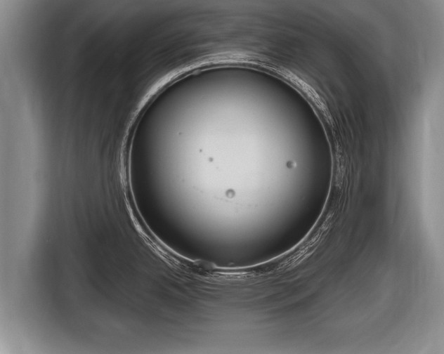 X0000116801342200912241154