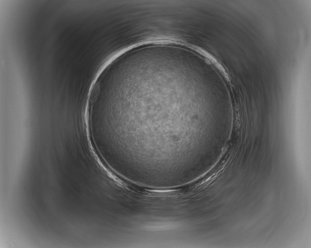 X0000116801343200912241154