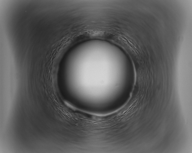 X0000116801345200912241153