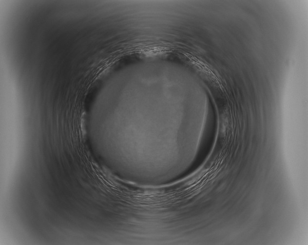 X0000116801346200912241153