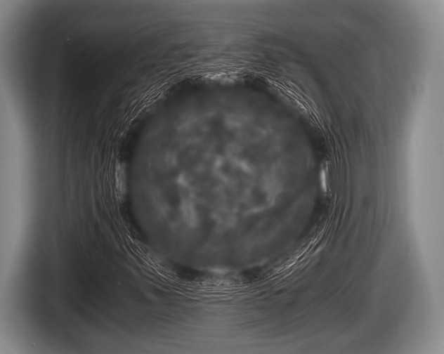 X0000116801347200912241153