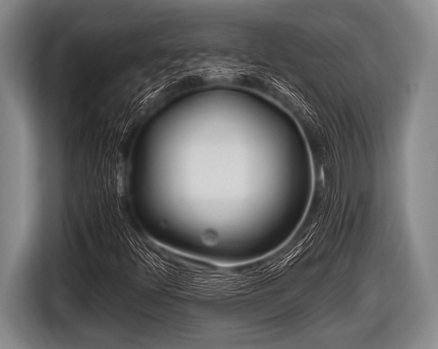 X0000116801348200912241153