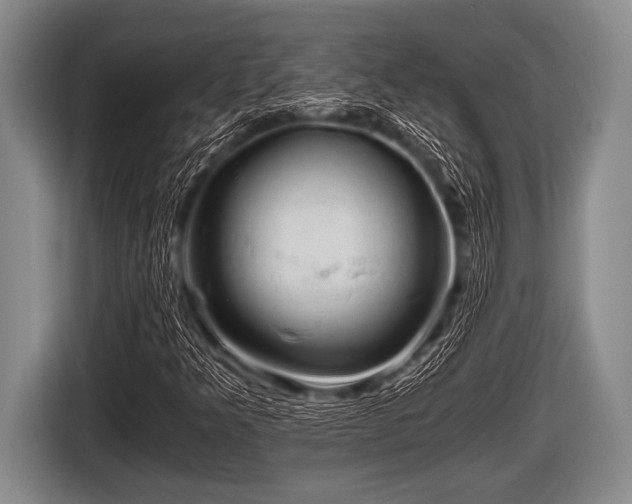 X0000116801349200912241153