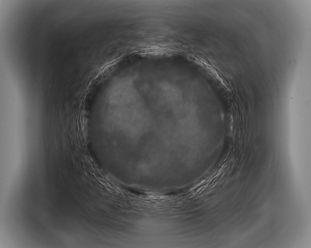 X0000116801350200912241153