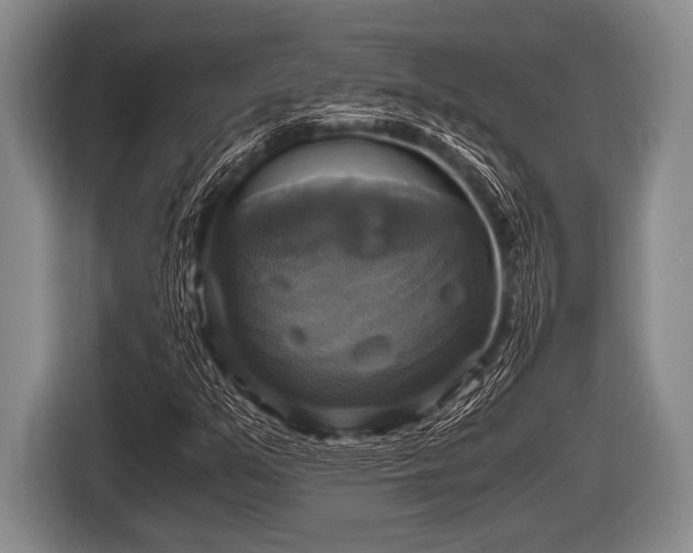 X0000116801351200912241153