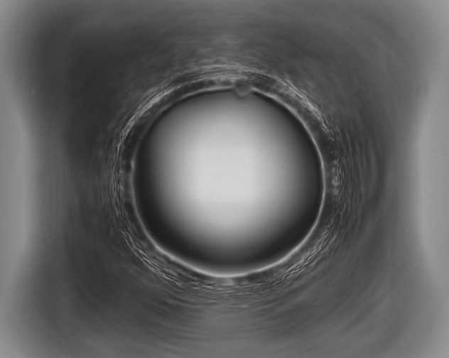 X0000116801352200912241153