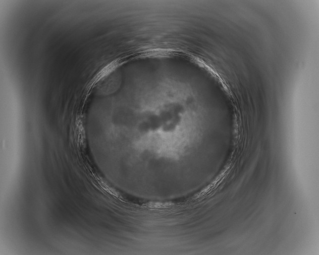 X0000116801354200912241153