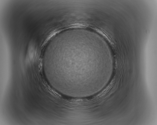 X0000116801355200912241153