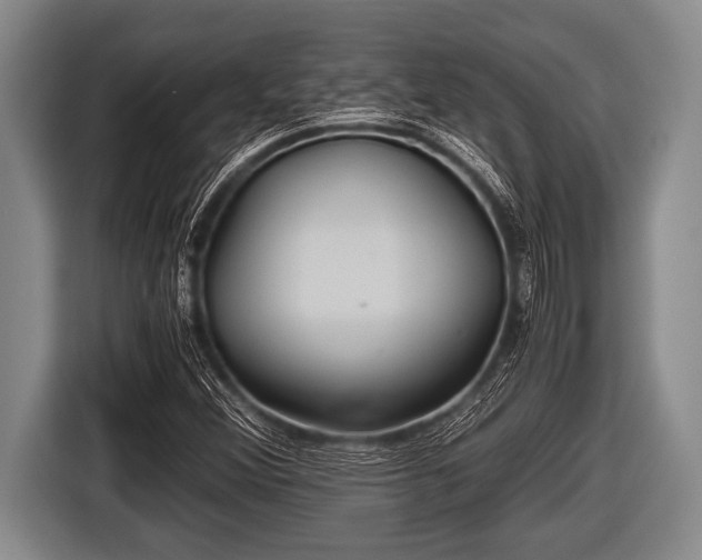 X0000116801356200912241153