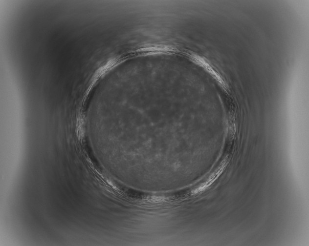 X0000116801357200912241153