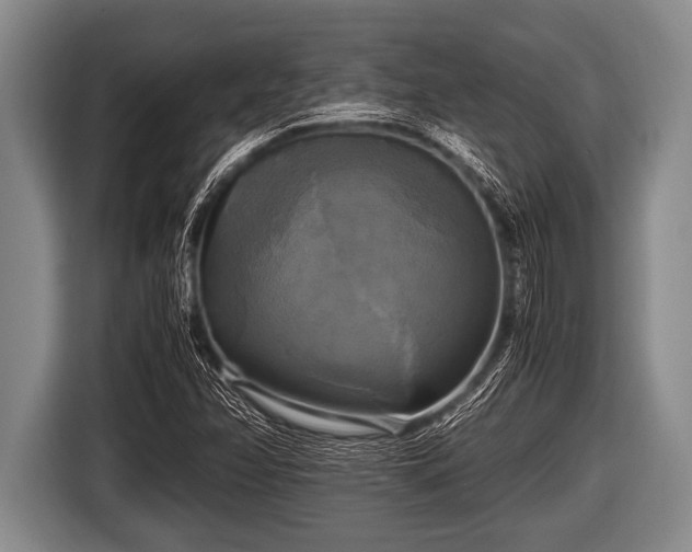 X0000116801358200912241153