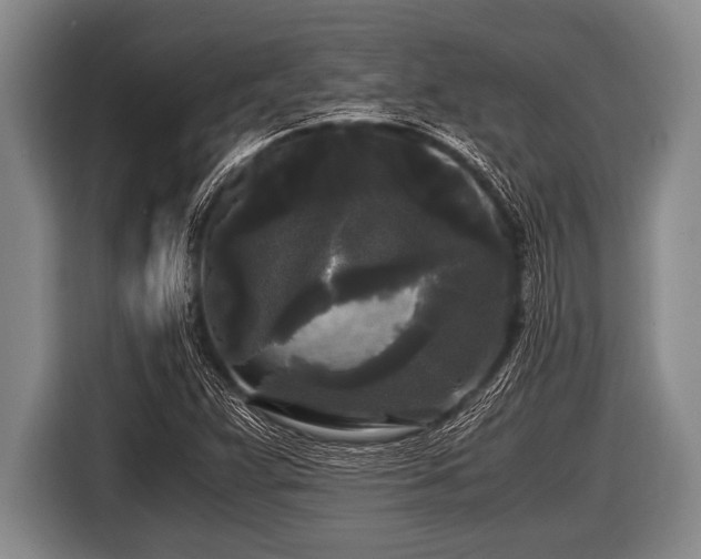 X0000116801359200912241153