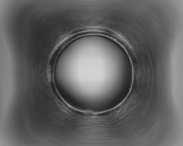 X0000116801360200912241153