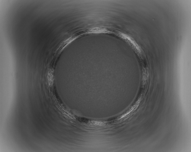 X0000116801361200912241153