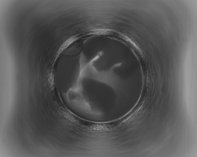 X0000116801362200912241153