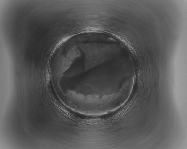 X0000116801363200912241153