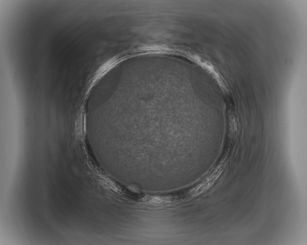 X0000116801365200912241153