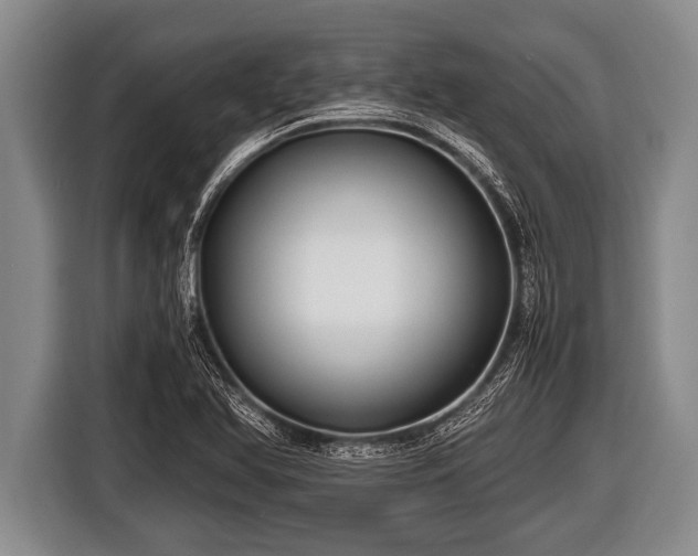 X0000116801366200912241153