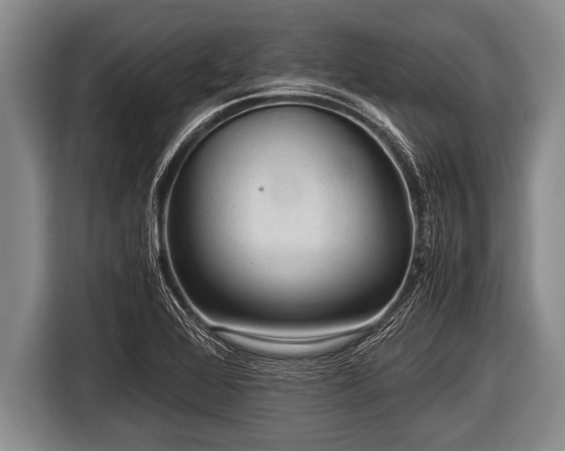 X0000116801368200912241153